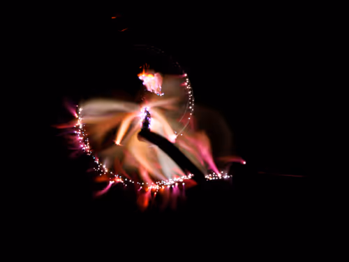 Item #45731211464929816441170859700976373292149702980452148839612468936913958469633 Media