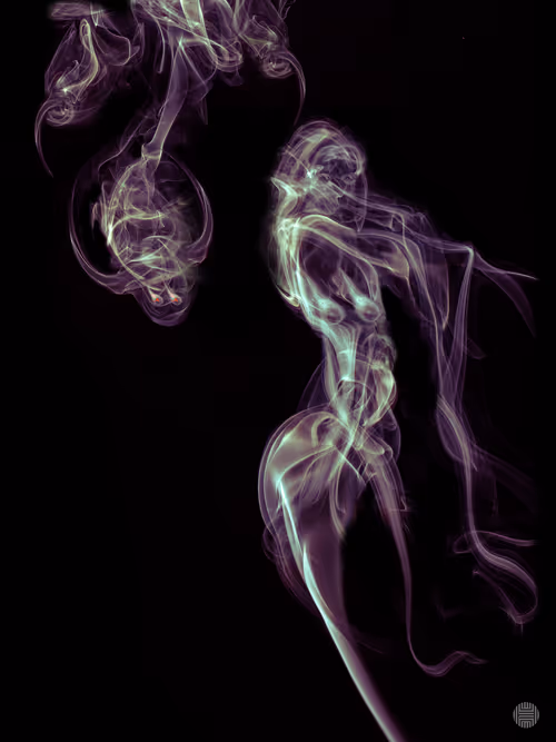 Item #85467693405940147672262575917191893543138067804729849030797599846871475421185 Media