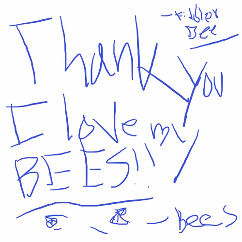 Thank You Note to LetItBee for the beautiful bee NFTs - From FiddlerBee