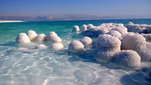 Item #95487849317578156668407947813270977219507958341613575813230836722834855690241 Media