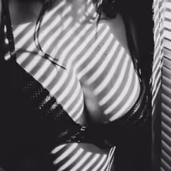 Perky Leather