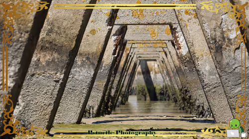 Item #63688176006920298669738405398310368792609774011425620877012058008844750553089 Media