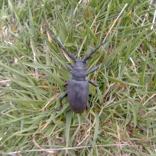 Untitled Collection #3641091043