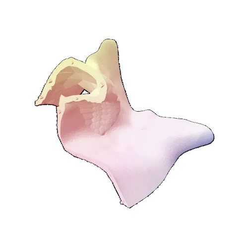 Item #38302191946042789311950467302305104661066998081919386922972218035976676573283 Media