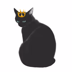 24618594739772325081071012251968077253983773594612099830659053228276685209603