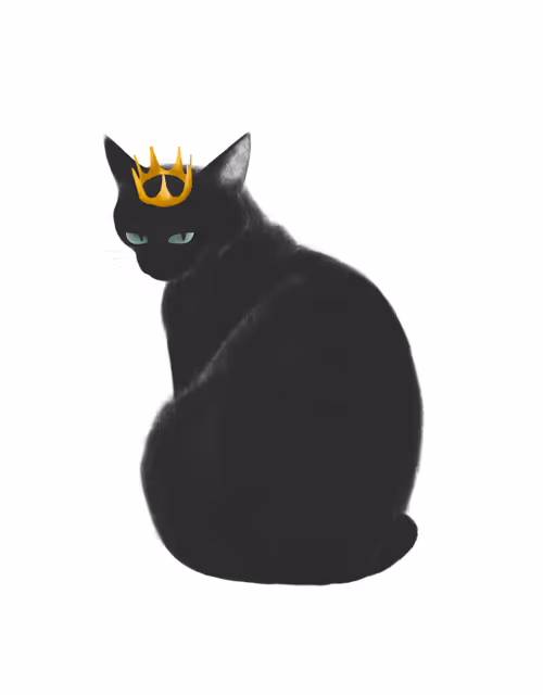 Item #24618594739772325081071012251968077253983773594612099830659053228276685209603 Media