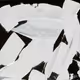 53048065266582992028737042021747286992360338577120237921785663733408576045057