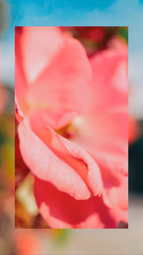 Item #12986489393004137742475338314428566941720217178047710048740287642690524282881 Media