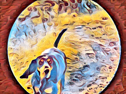 Item #68103433958729647441734292428991292973430553462390996571560802152697840009217 Media