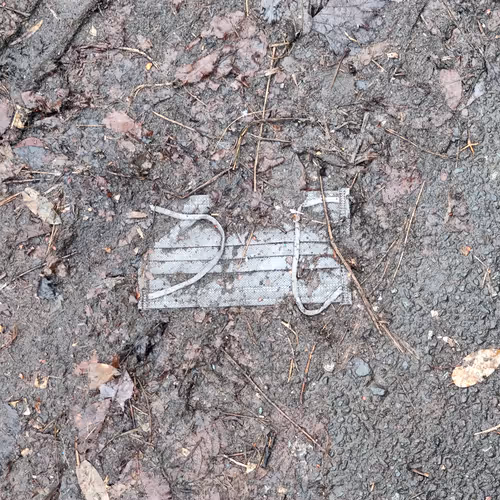 84285917725132974089305132725833135800452932529266957423738788481582726381569