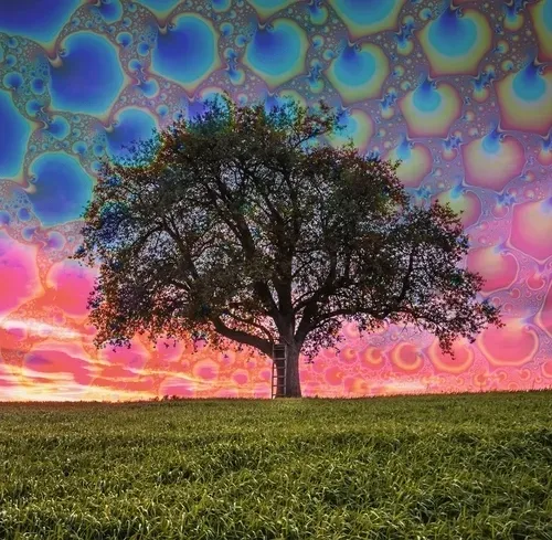 Fractal Nature #9