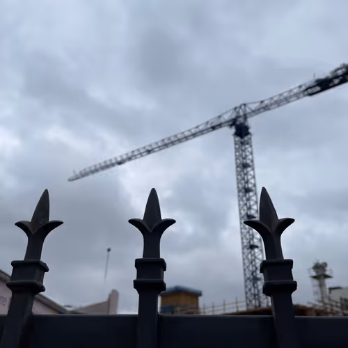 City Of Cranes