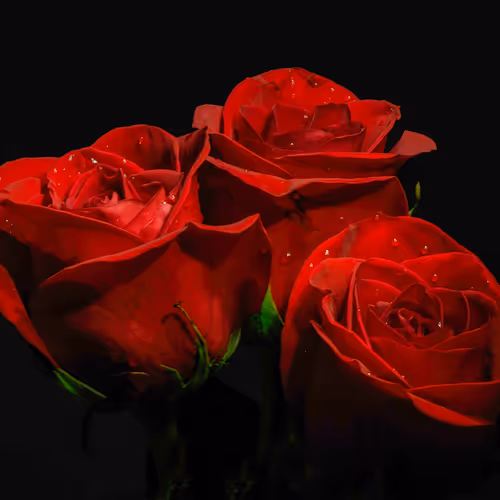 Allingoodlight Collection - old