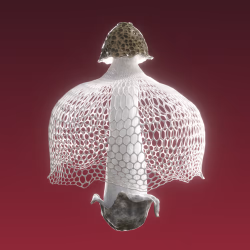 Item #95653877050150474555742155054455970472164202465768371638498214008569462784001 Media