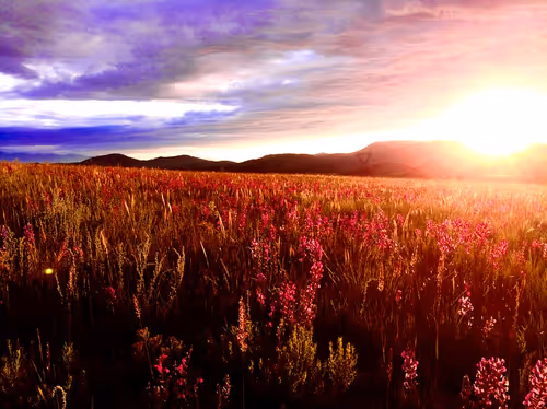 Item #3545434364027388159524564873243937151540135402704887169129841896754943885313 Media