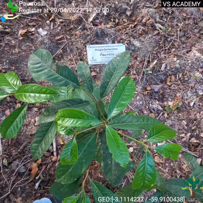 Item #8500196597889277390194123329501889087166328879864934763448348839109476745217 Media