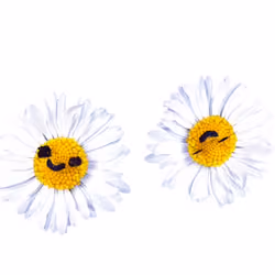 Daisy Vid 2