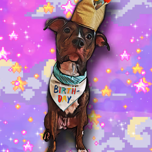Doggo Doodle #1