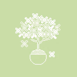 bonsai