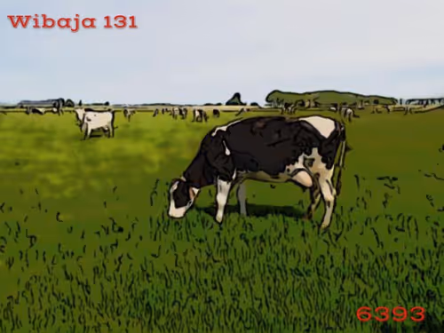 Item #106168068867162485094593885732241547229015412580842941571810197537348273569793 Media