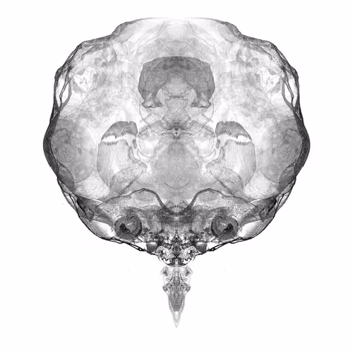 Item #85859191866638808365331437874953228966785819470149775310971061585860645355521 Media