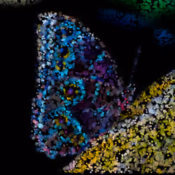 AI Pointillism Creature #8
