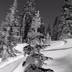 Black and White Powder turn #1