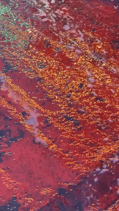 Item #62402000334580523921237358418718502457721815832787791947048085121073760174081 Media