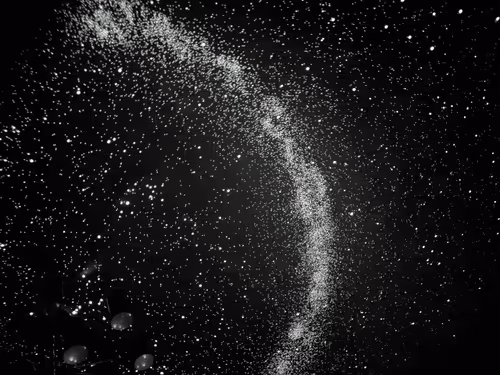 Untitled Collection #182027603