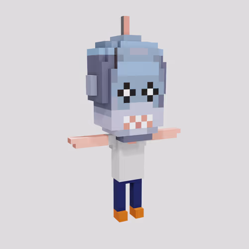 Stoned Voxel Human