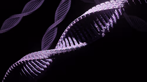 Item #49094267518849766728459320439263364163524723488724265765002212415796584382465 Media