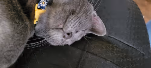 Item #65060042108644582213581044861185257921099202751223028038730296729069215023105 Media