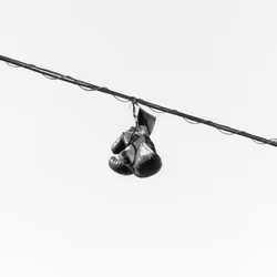 44231692163325033527706634296024509461007343983716307526579858958250284154881