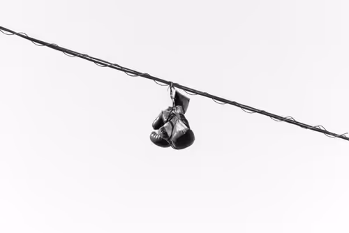 Item #44231692163325033527706634296024509461007343983716307526579858958250284154881 Media