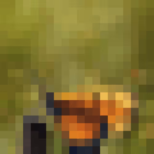 Item #70259611116733868928192191563803292413861127544419224770457549703552612433921 Media