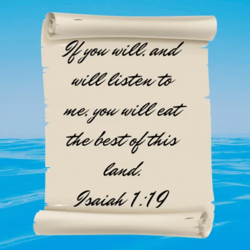 Item #38709541401652465001399013235077350118197148033488468632614324452481447231503 Media