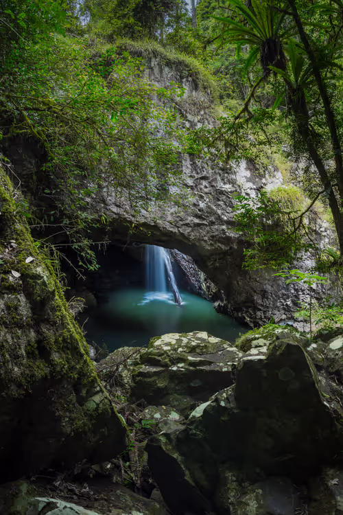 Item #11717075435639617062538583051799023982813876484308334407242089901974741843969 Media