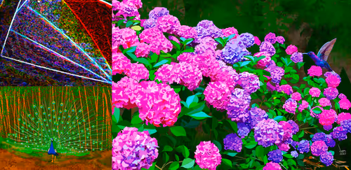 Item #13124369587173456456622081061708634094950931907258983573597019338904426250241 Media