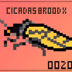 Cicadas Brood X (2021) #200