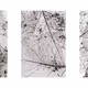 EDITIONS - PaulMoonPhotos
