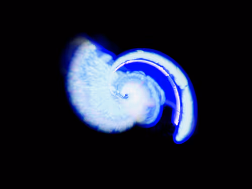 Item #45731211464929816441170859700976373292149702980452148839612469041367563108353 Media