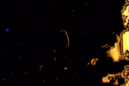 Item #52983178827140167828798930307680145442294499588078519944189482734530280292353 Media