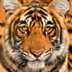 104290777508053011664354031222245432913193102027787953465027977254222558134292