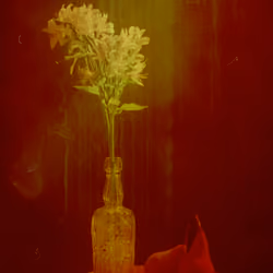 A Caustic Love Story 