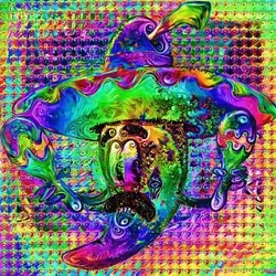 MetaChili 