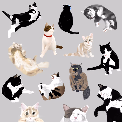 Item #104561290184458227069111393088658904779979346146682542828265975307367958446081 Media