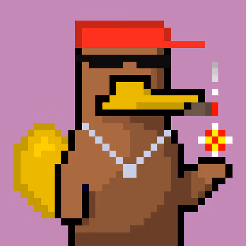 Platypunksofficial