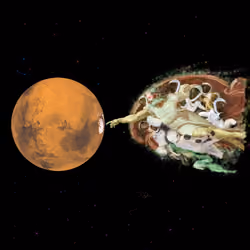 Elon Tickles Mars