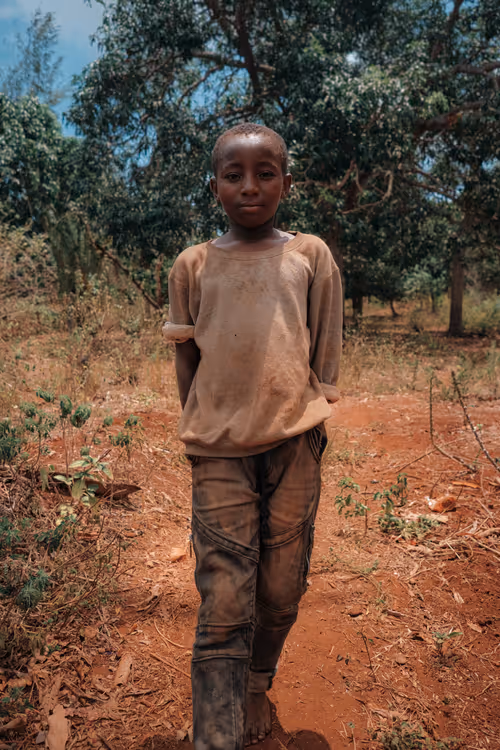 Item #81057615018985245267668409952199543064735075507553677475786031427879054606337 Media