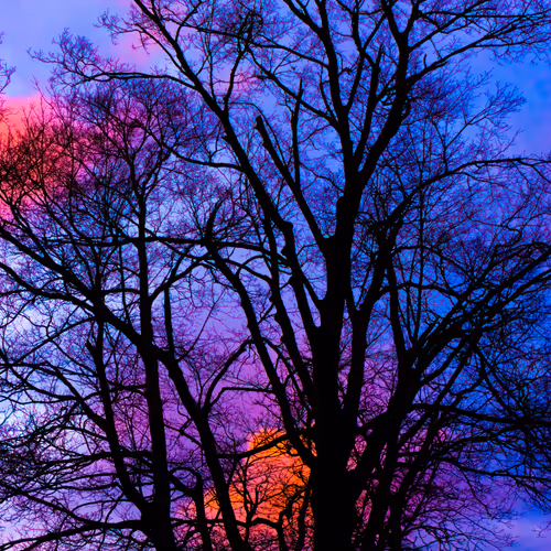 Item #35965218379738729691291467168286792303482134167127854404987491535008342999041 Media